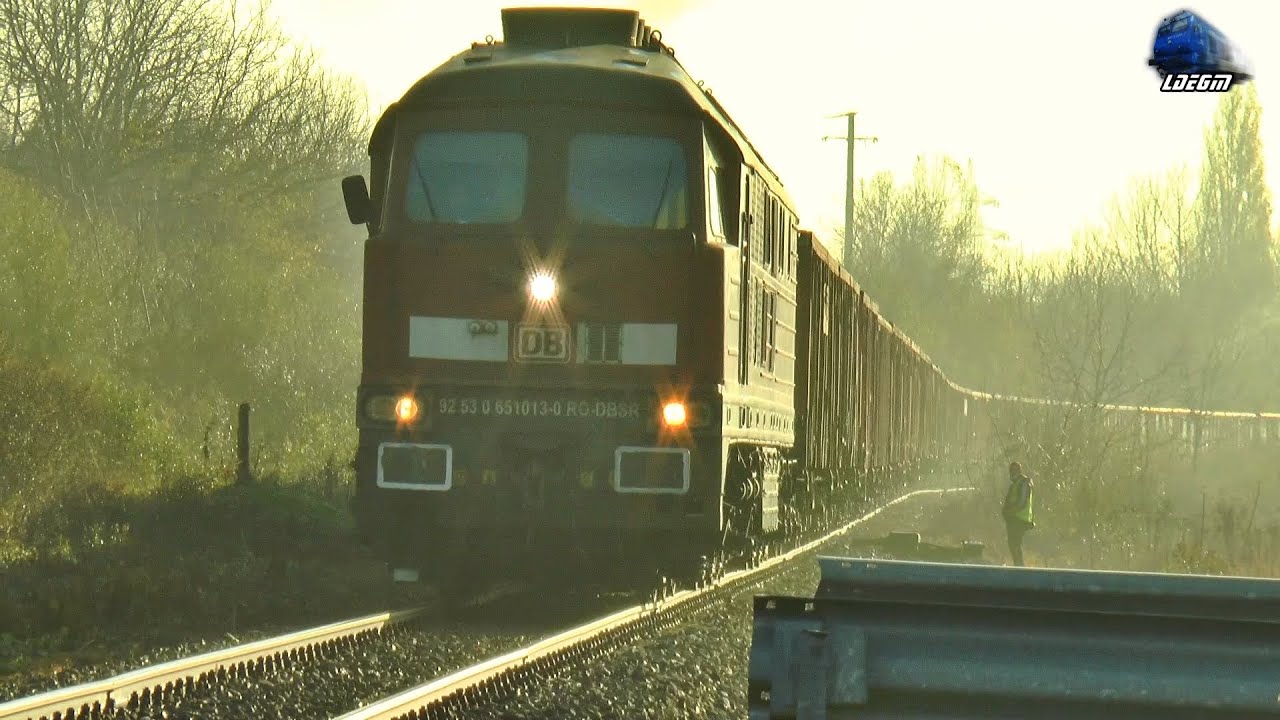 BR232 Ludmilla Dieselok 65-1013-0 & Marfar DB Cargo Freight Train in Oradea - 24 November 2020