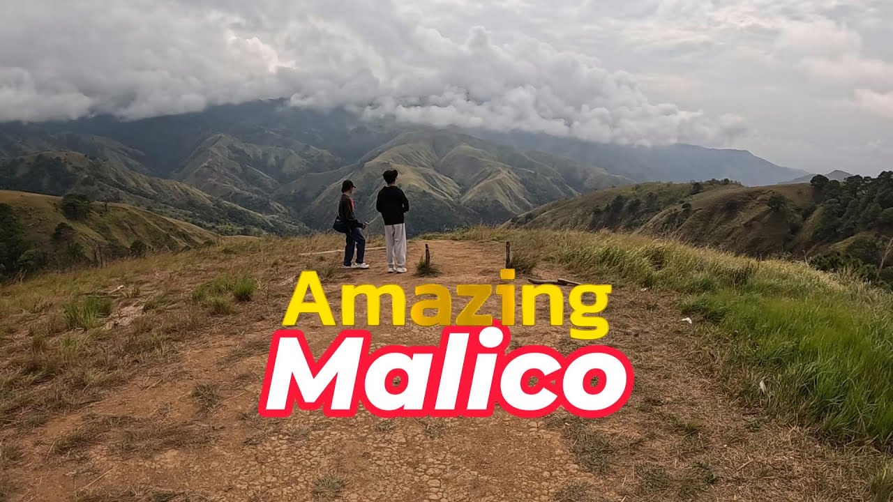 Amazing Malico