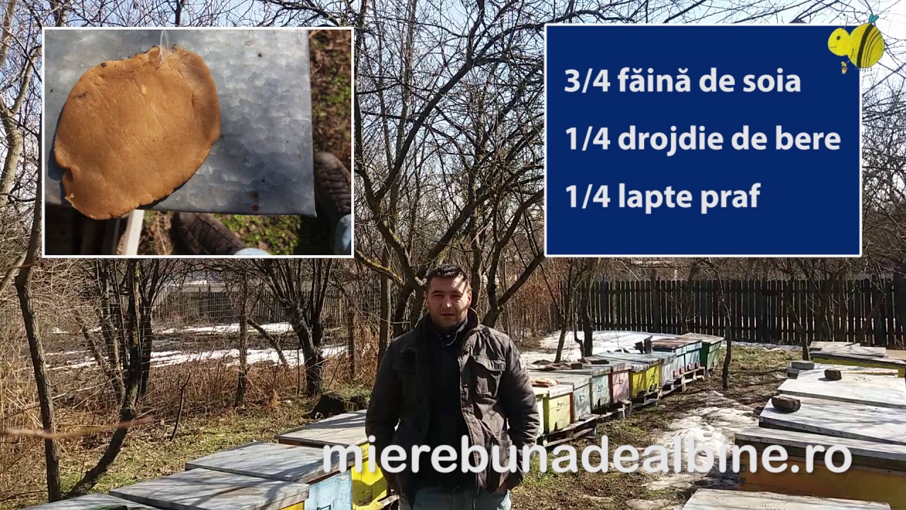 Februarie 2017 Reteta de turta pentru hranirea albinelor