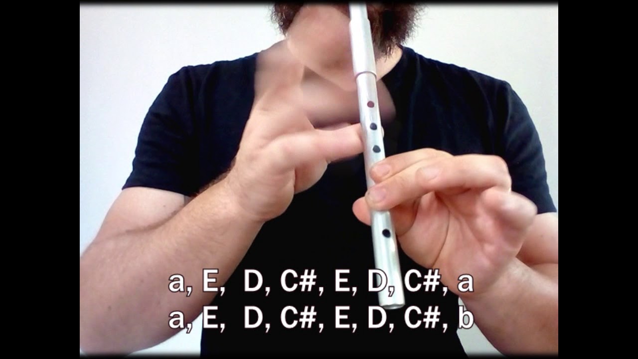 Fiesta Pagana - Mago de Oz - Tin Whistle Tutorial