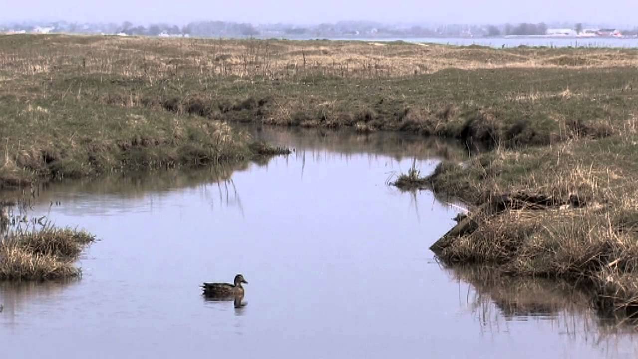 Skan&ouml;r Bredev&auml;g