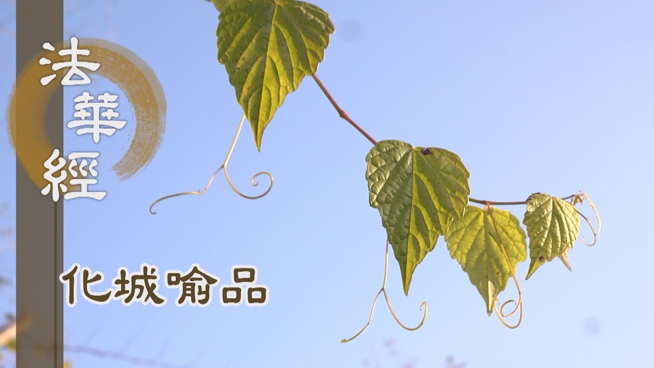 【靜思妙蓮華】法華經化城喻品 - 惡道險難 應去應度 - 20220202 第1081集