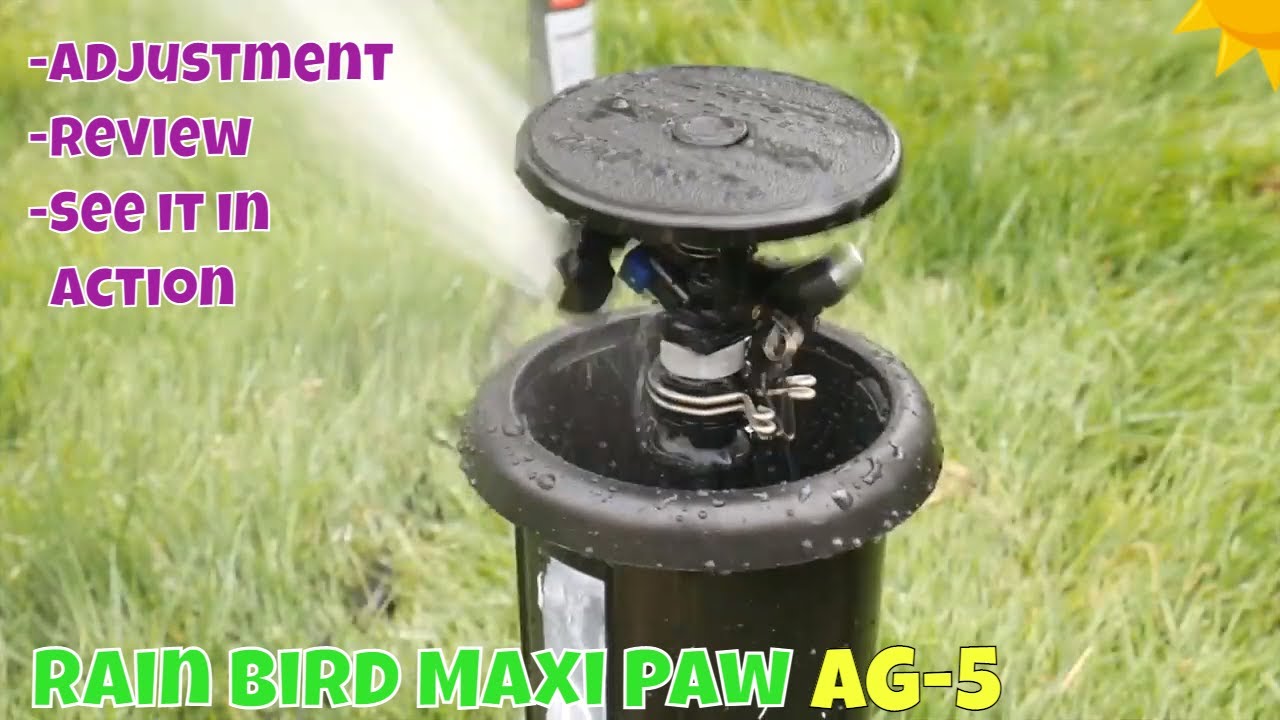 Выдвижные роторные дождеватели Rain Bird AG-5 Maxi-Paw