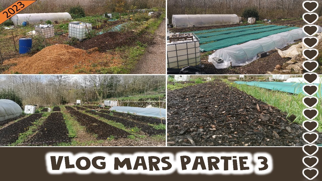 VLOG MARS 2023 partie 3 : Evolution du potager