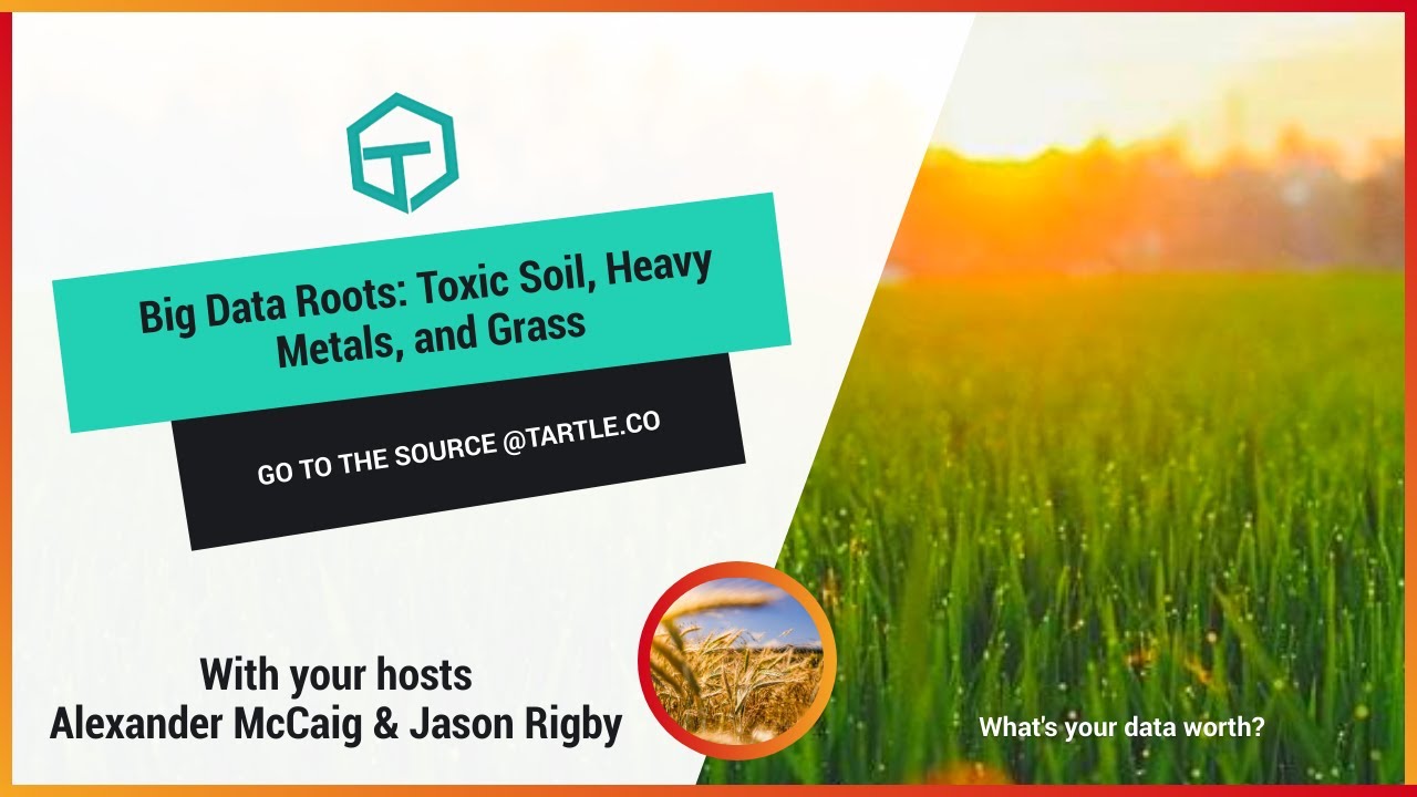 Big Data Roots: Toxic Soil, Heavy Metals, and Grass