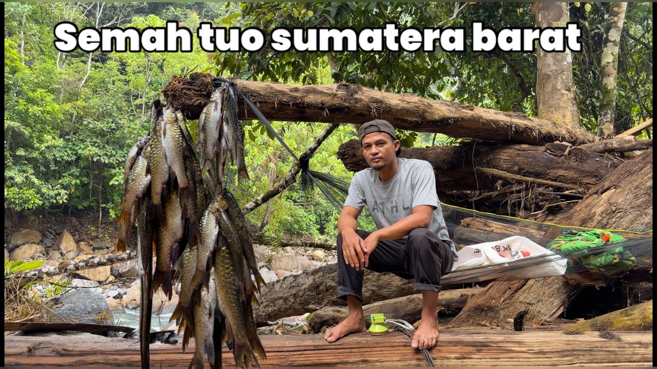Berburu Ikan Semah Banyak Dihutan Sumatera Barat! Hunting for fish in the jungle