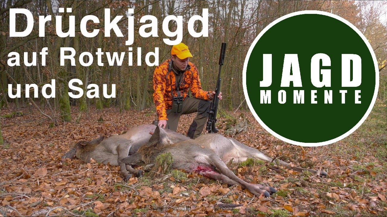 Dr&uuml;ckjagd auf Rotwild und Sau mit Stefan | JagdMomente mit Freunden | Folge 4