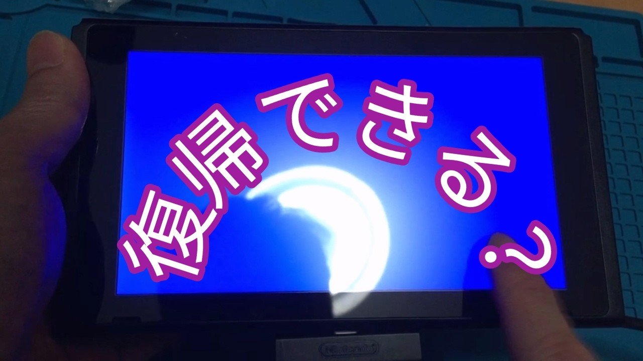 【Switch】ブルースクリーンジャンク