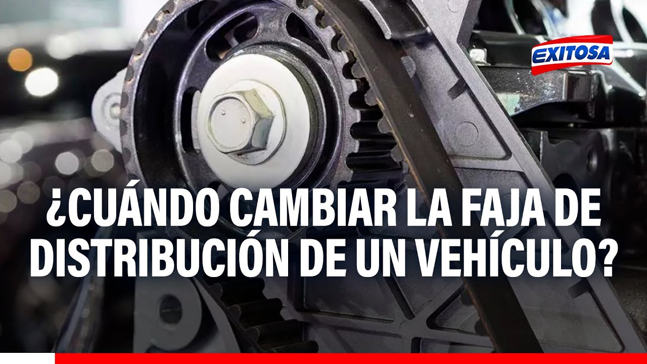 🔴🔵¿Cuándo cambiar la faja de distribución de un vehículo? 'El profe automotriz' responde