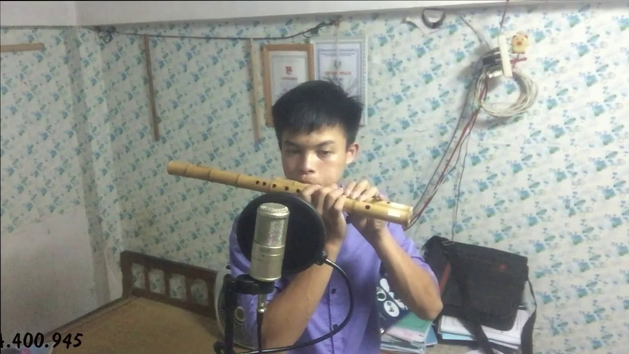Nụ Hồng Mong Manh - Sáo Mèo | Sáo Vũ Trụ ✔