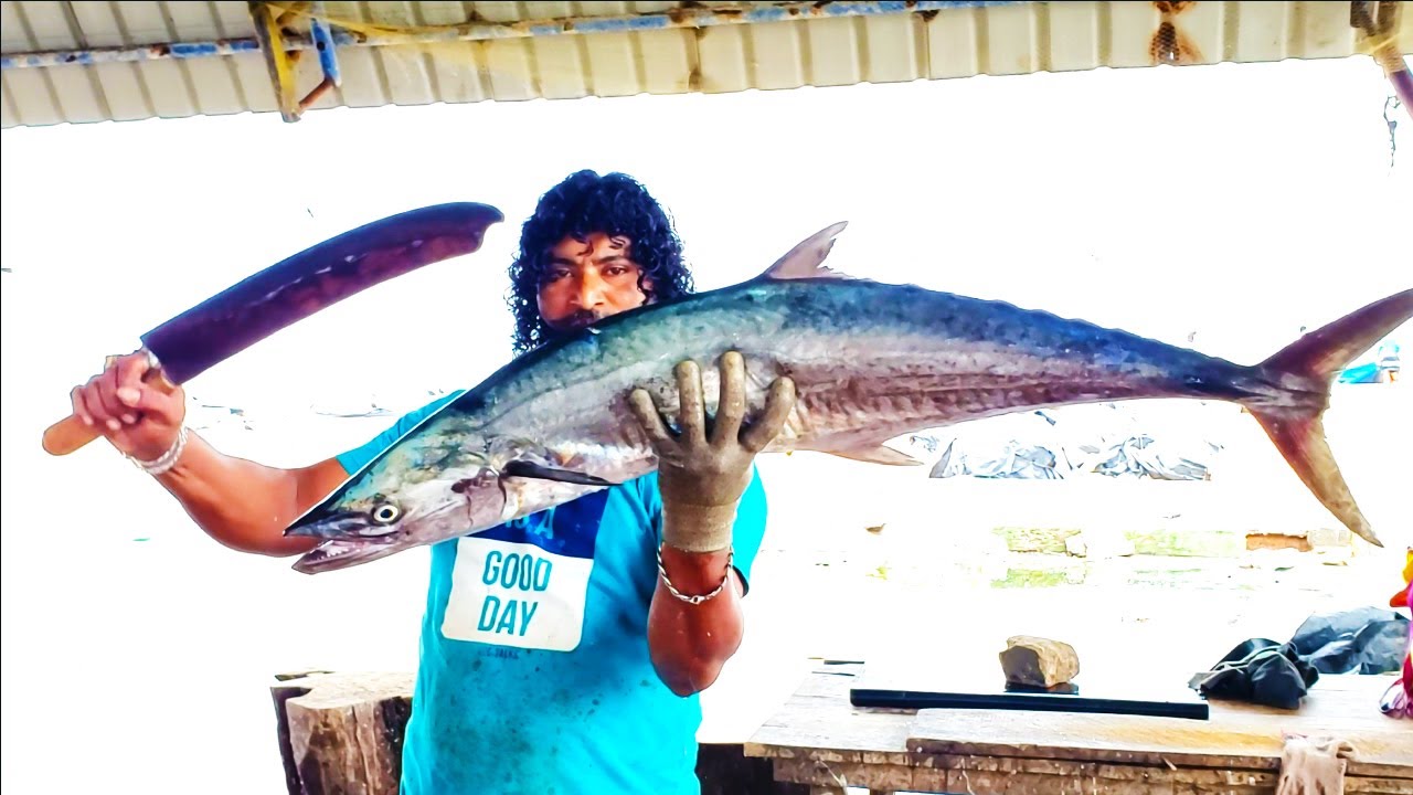Huge King Fish Cutting | Seer Fish Cutting Sri Lanka