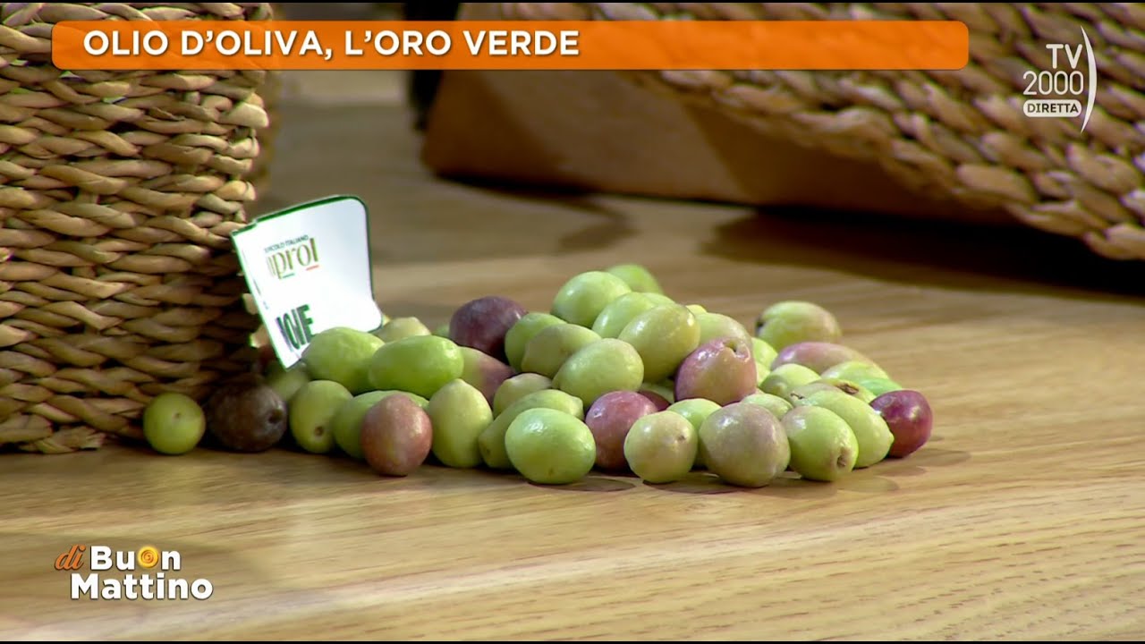 Di Buon Mattino (Tv2000) - Olio d'oliva, istruzioni per l'uso