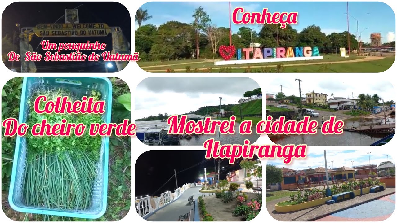 Viagem: ITAPIRANGA-AMAZONAS  HORTA DE CHEIRO VERDE