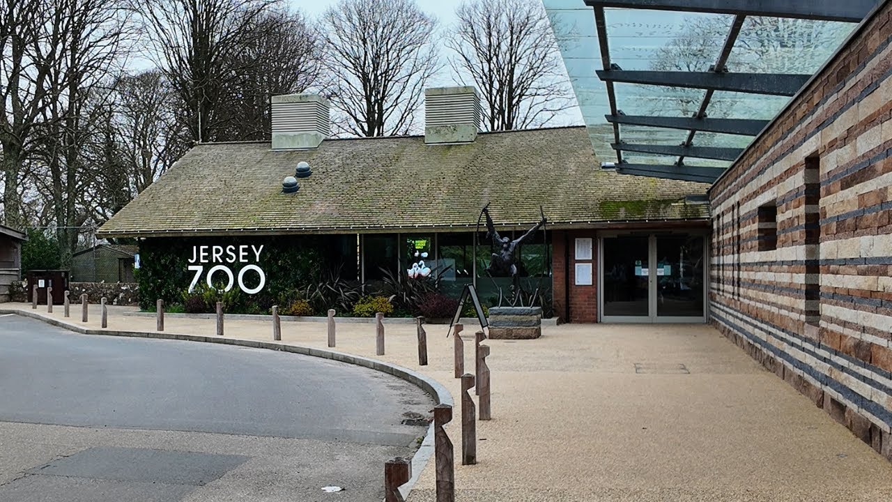 Jersey Zoo on Foot: A Walking Tour for Wildlife Enthusiasts | March 2024 | 4K |