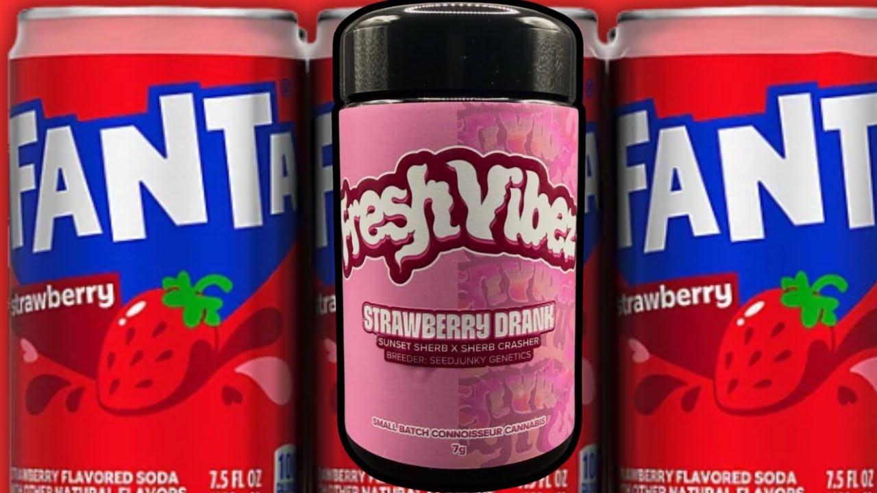Finally Trying Fresh Vibes Flower | Strawberry Drank Review
