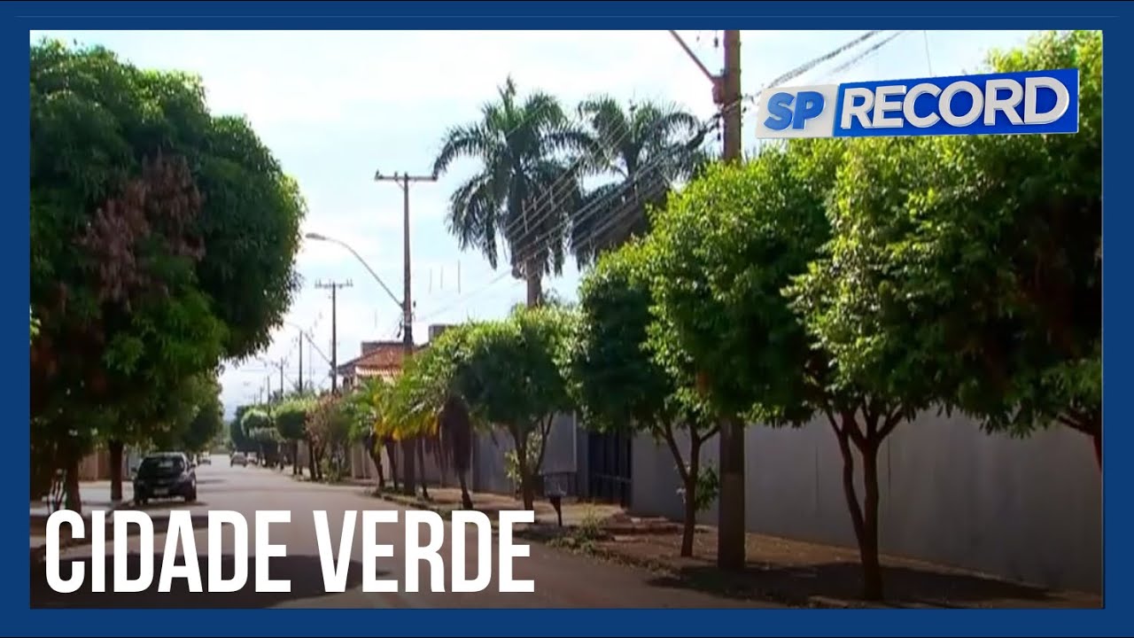 Sertãozinho (SP) se consolida como a segunda cidade mais arborizada do Brasil