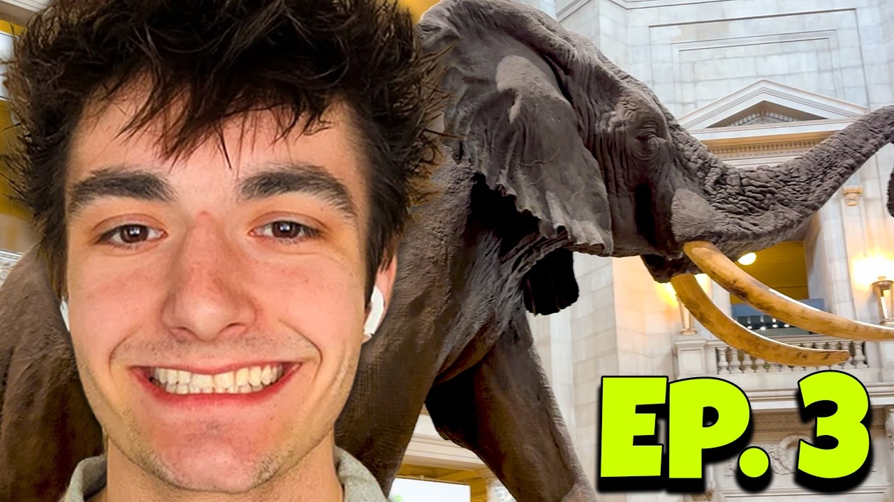 I Visited The Most Famous Museum In America (Traveling The World Ep. 3)