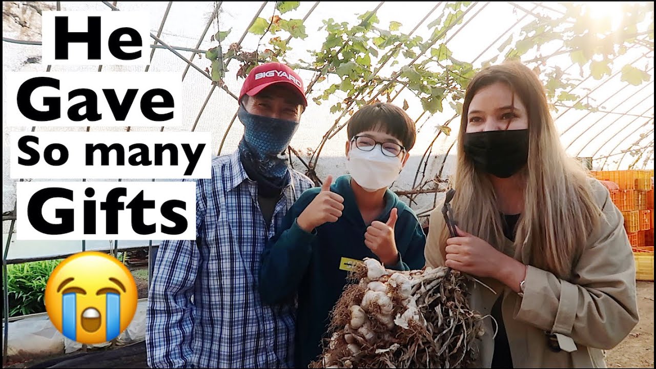 Korean Village (Gaon ki life in Korea)🇰🇷 | I drove tractor😃🤪