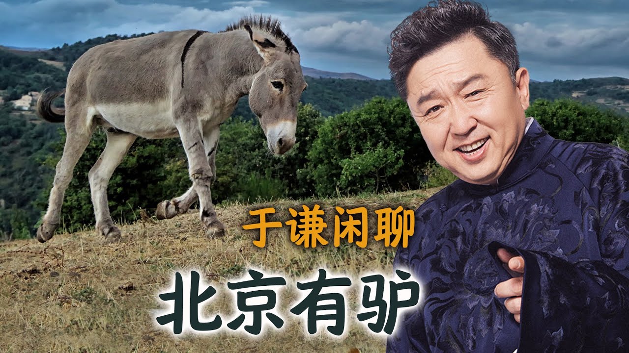 于谦聊驴：北京有驴，驴的故事