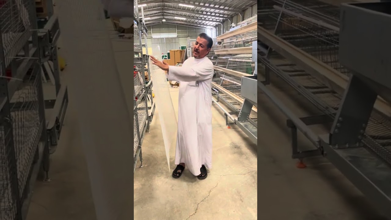 بطاريه دجاج تسمين ( لاحم) فاخر من الاخر