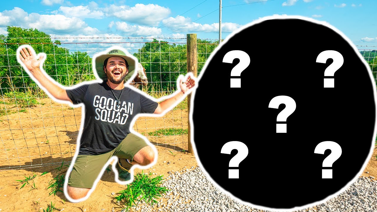 I Bought the MEANEST Animal at the AUCTION for My BACKYARD FARM!!! (Bad Idea)