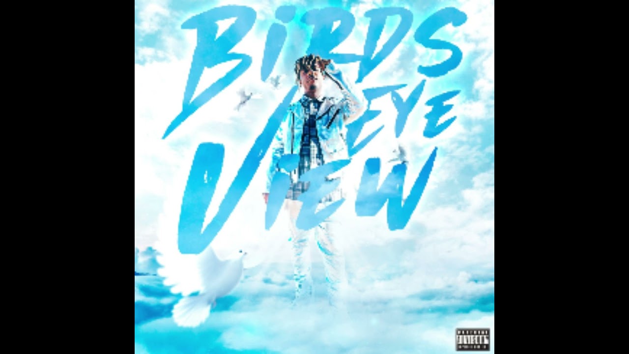 birds eye view (juice wrld)