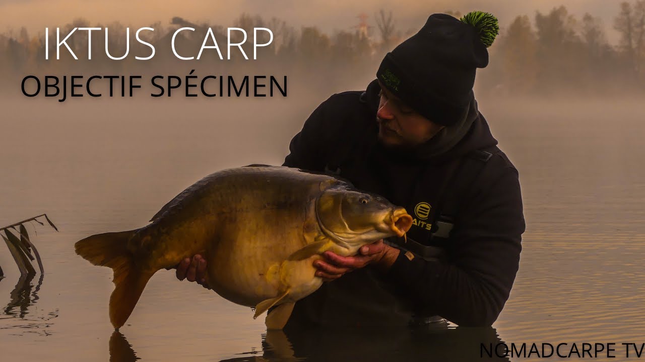 IKTUS CARP : OBJECTIF SPECIMEN ( pêche de la carpe 4K )