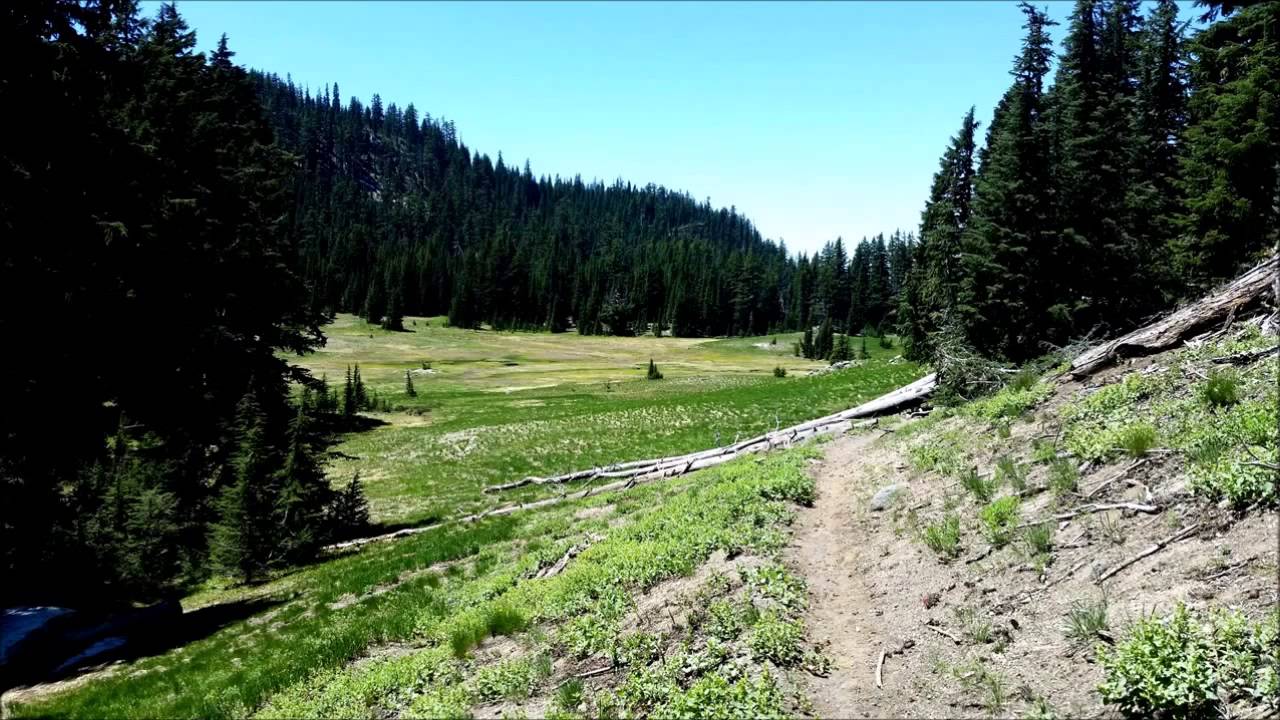 Damon PCT 2015