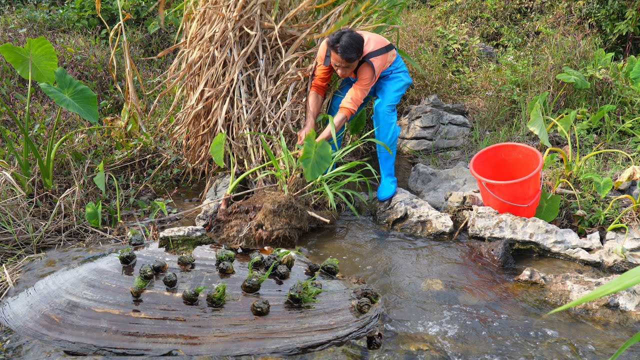😱 wow 😱 The girl found a huge clam in the waterfall and collected orange pearls. It's so beautiful