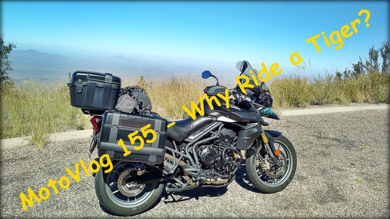 MotoVlog 155 - Why Ride a Triumph Tiger 800 Roadie ( XRX ) ?