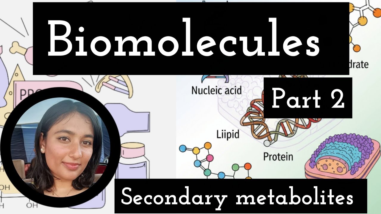 Secondary metabolites || Types and examples || Part 2 ( Biomolecules )