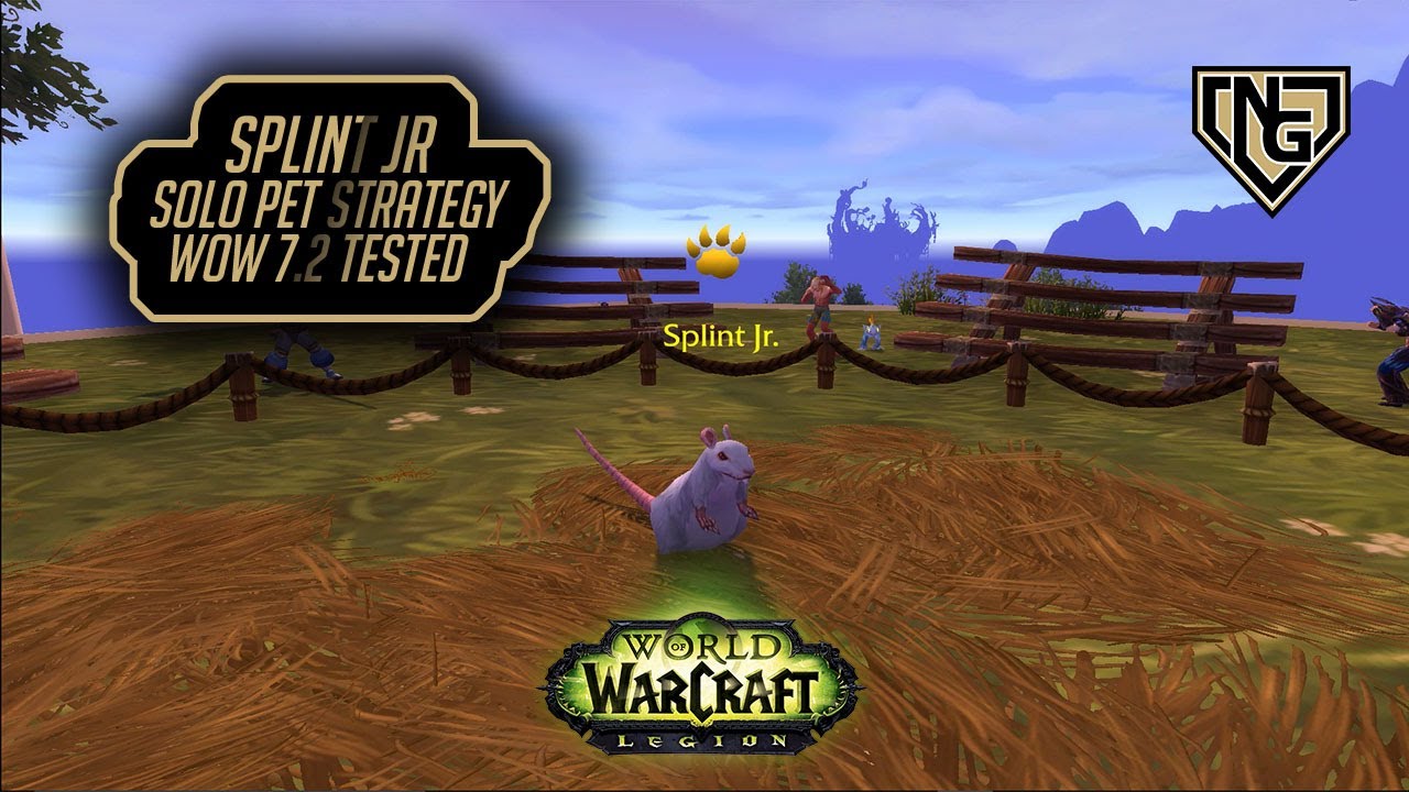 Splint JR - Solo pet Strategy - WoW battle pet Legion 7.2.5