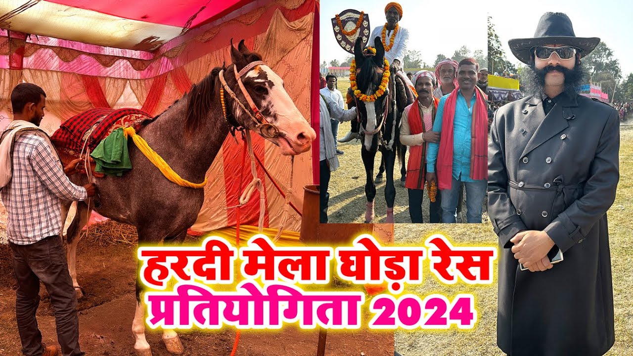 हरदी मेला घोड़ा रेस प्रतियोगिता 2024 ll Horse Racing ll ऐसा घोड़ा का रेस आप ने कभी नही देखा होगा 🏇