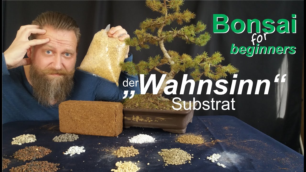 Der 