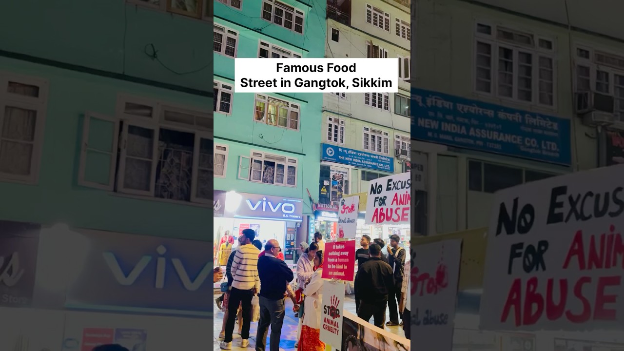 Explore authentic flavours of Sikkim ||MG Marg, Gangtok|| #shorts #food #scenesofjourney #foodtravel