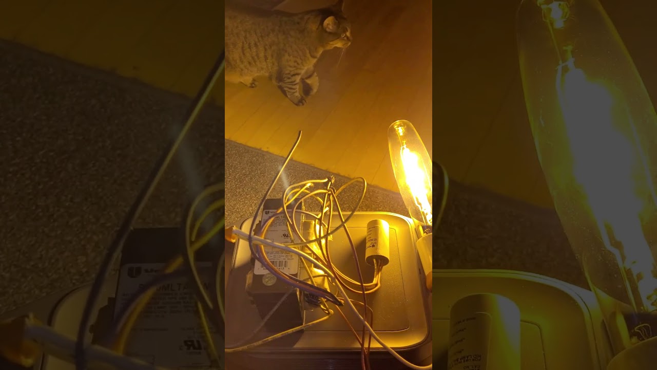 portable streetlights! 250w HPS on battery.