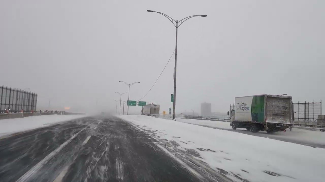 UN Lundi d'hiver : 26 janvier 2026  N'a n'a grand Nord
