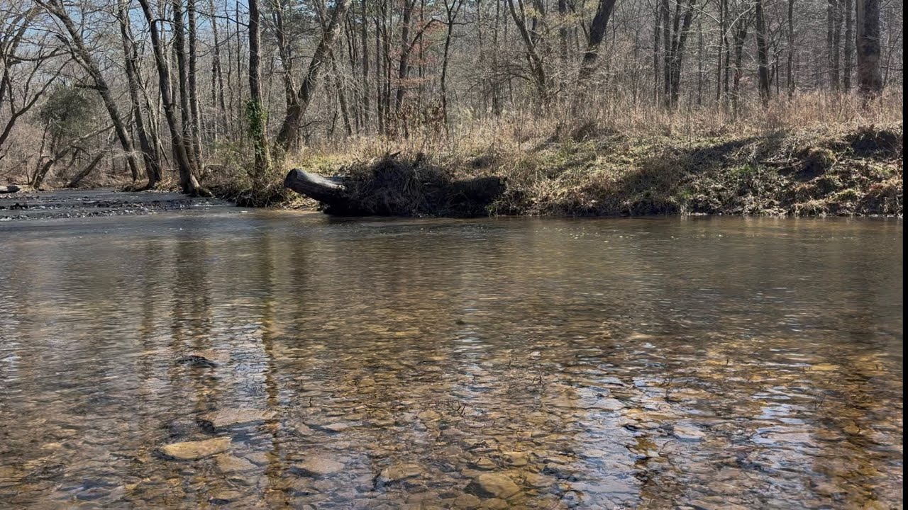 Big Creek Natural Area Extended Loop (Wilburn, Arkansas) | Hidden Ozark Trail