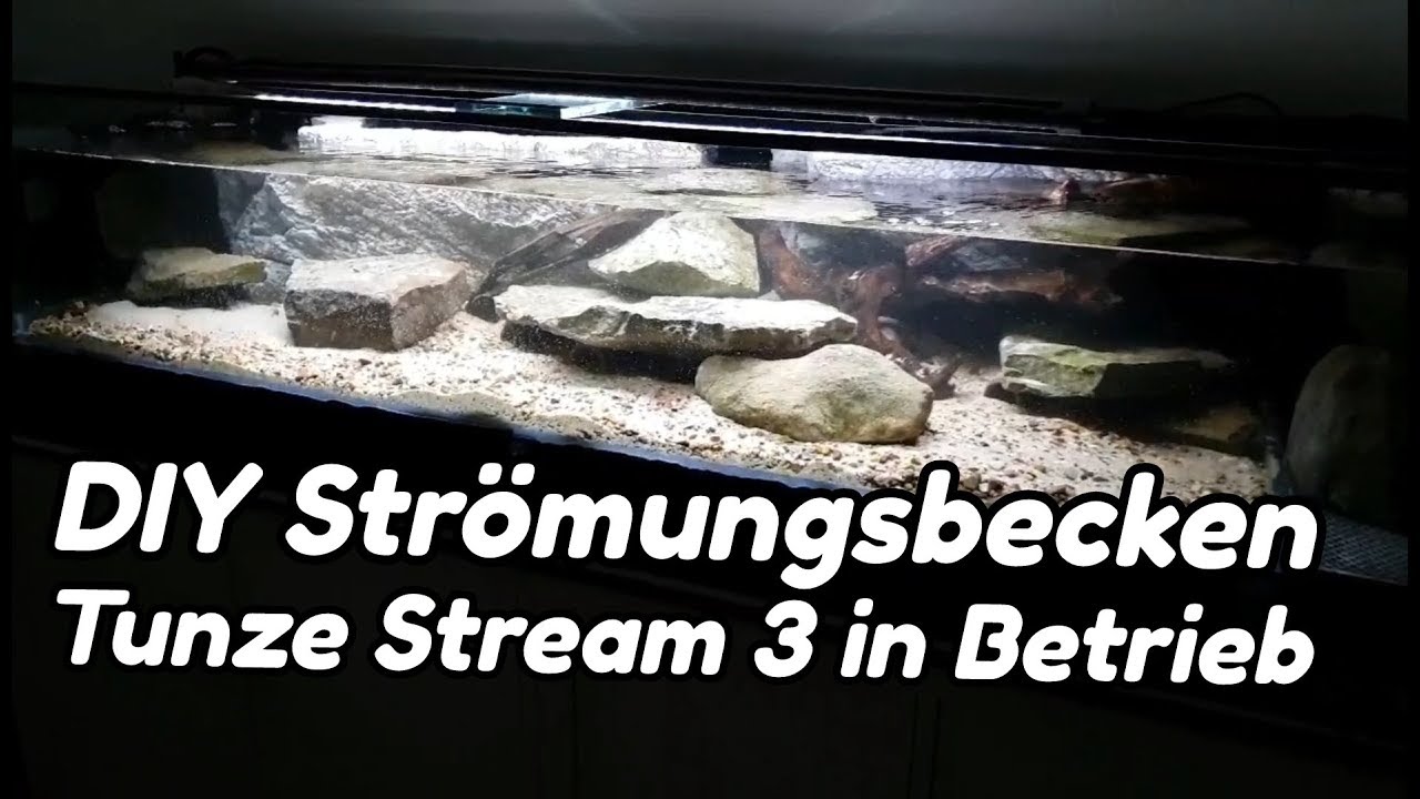 DIY Strömungsbecken - Tunze Stream 3 in Betrieb (#5)