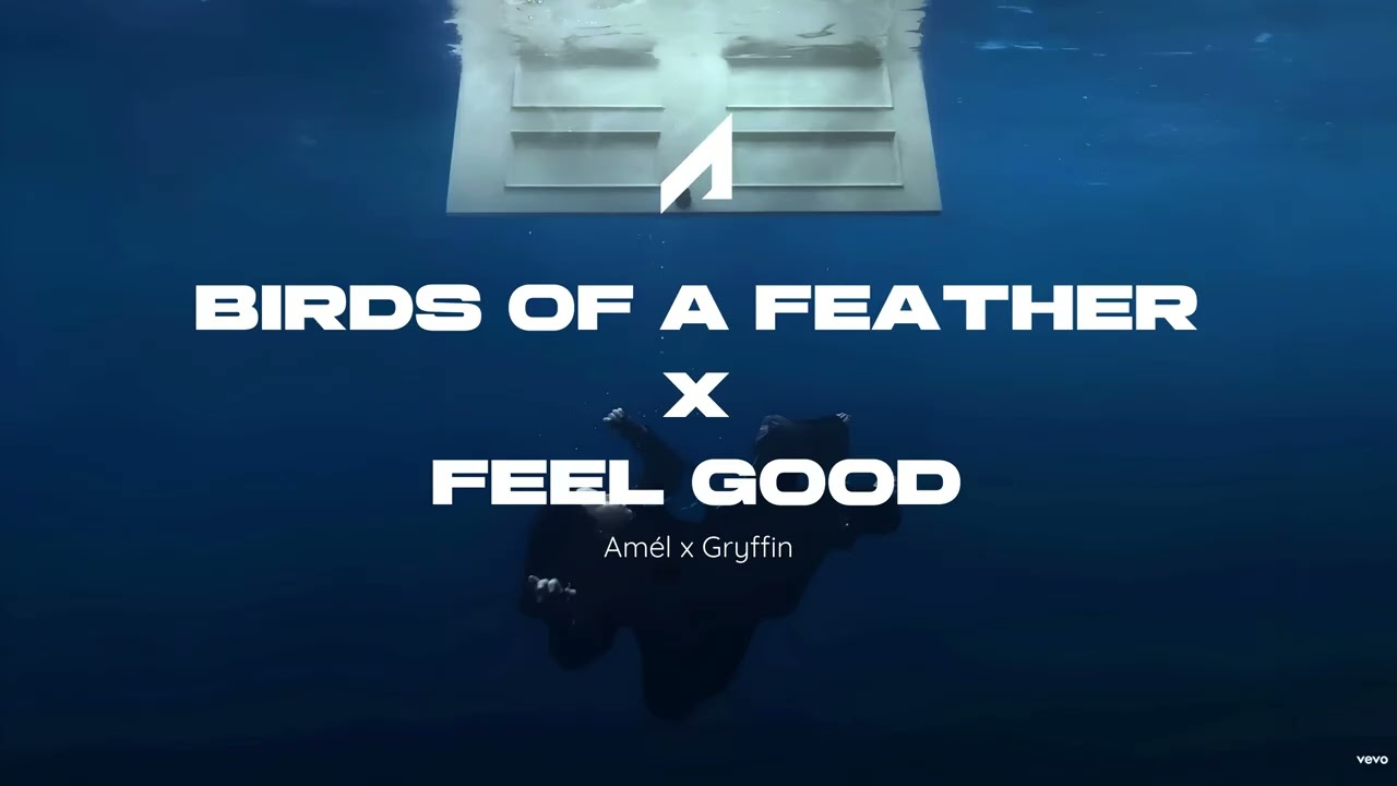 Billie Eilish x Gryffin - Birds Of A Feather (Amél Remix) x Feel Good (Adrian Yarasca Mashup)