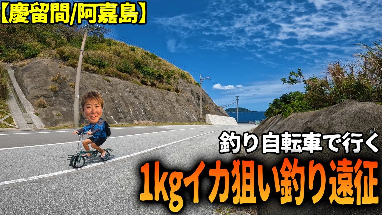 釣り専用チャリ移動で1kgアップのイカを狙う一人釣り遠征【慶留間/阿嘉島】