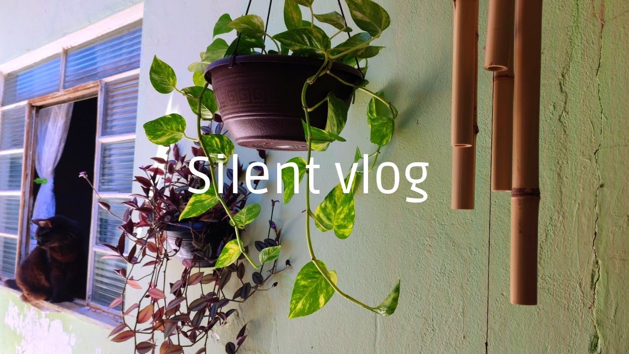 Vida tranquila de dona de casa 🌷| rotina leve e sem pressa | vlog acolhedor de casa e jardim 🏡🌿