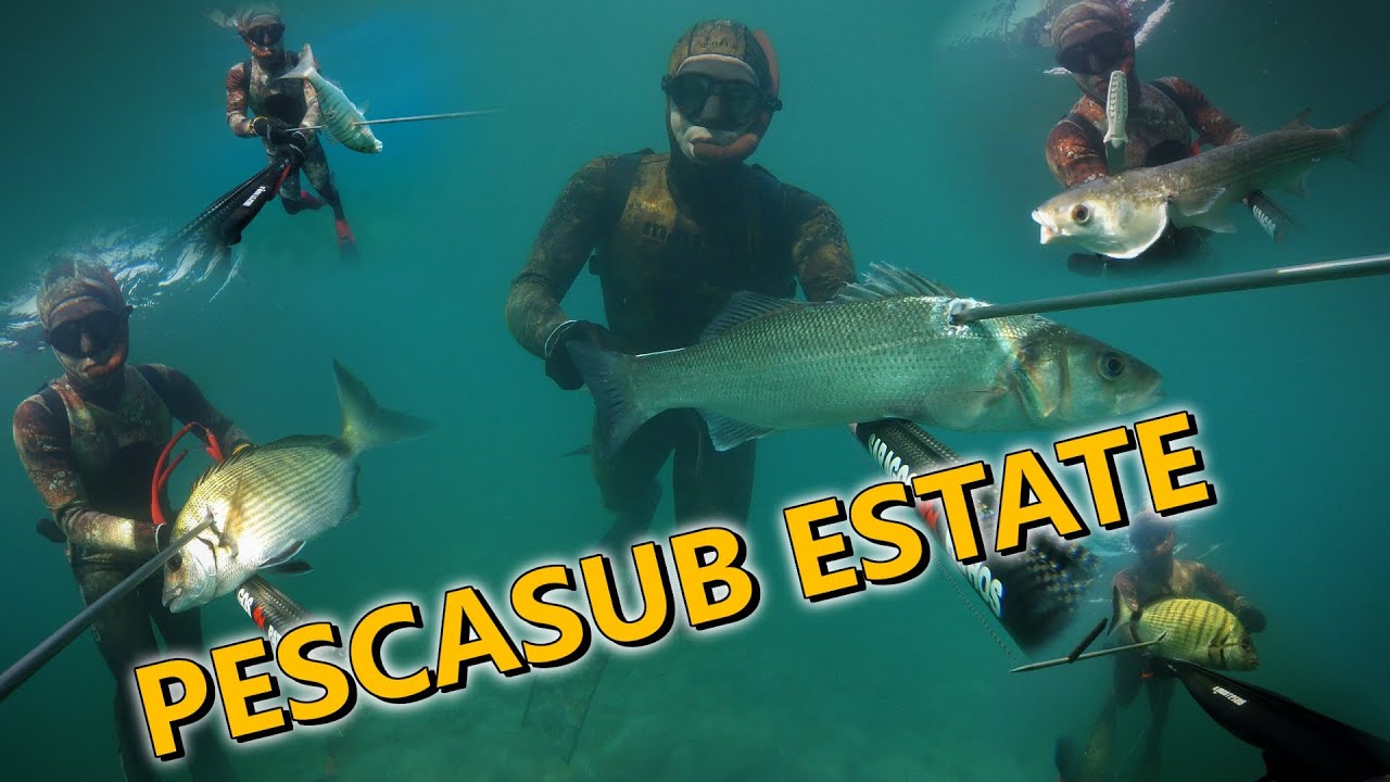 PESCASUB ESTATE - L'arte dell'agguato nel bassofondo