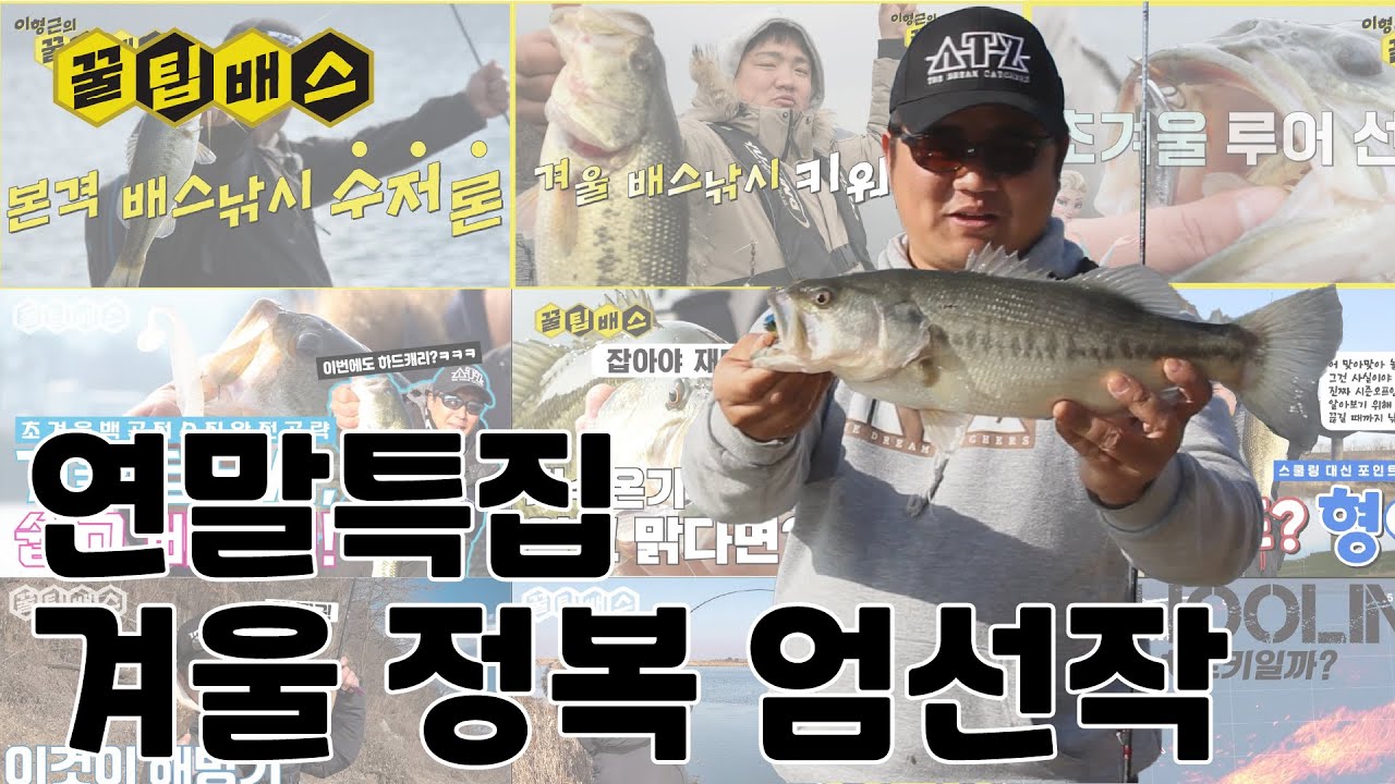 꿀팁배스 겨울 배스낚시 모아보기