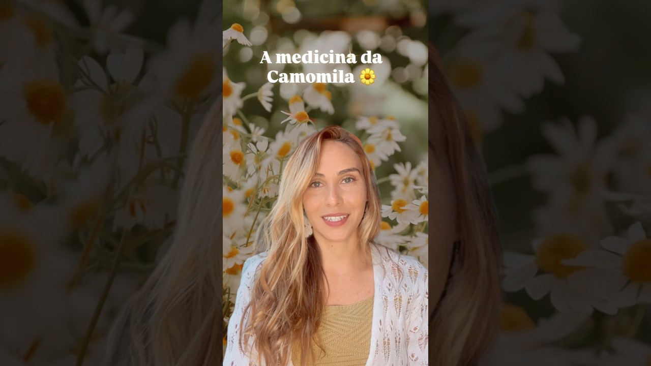 A medicina da Camomila 🌼