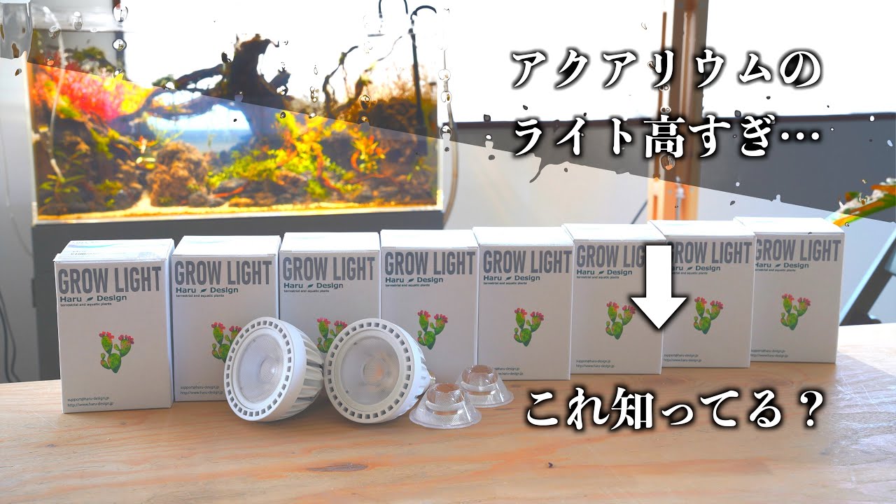 【コスパ最高】話題の植物育成ライト[GL-X6K/4K]をアクアリウムで使ったらこうなる。価格差３倍のツクヨミと比較したら…これは…