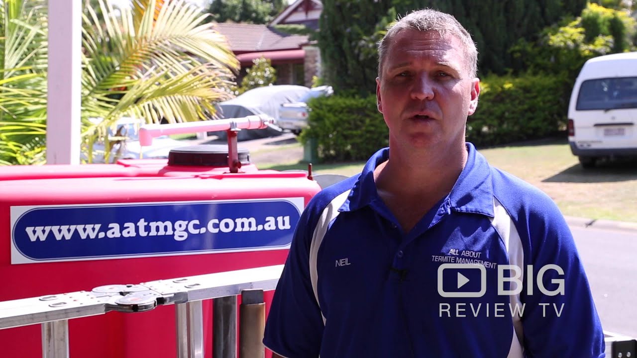 Services | All About Termite Management | Pest Management | Gold Coast | QLD | Review | Content