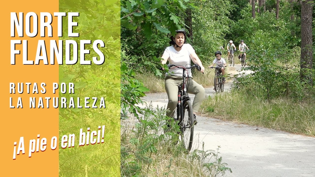 FLANDES / Norte de Bélgica. Senderismo y rutas en bicicleta. Turismo familiar