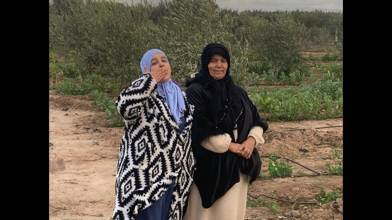 السلام عليكم الحباب تبارك الله زوينة البادية بعد امطار الخير ما شاء الله 🥰