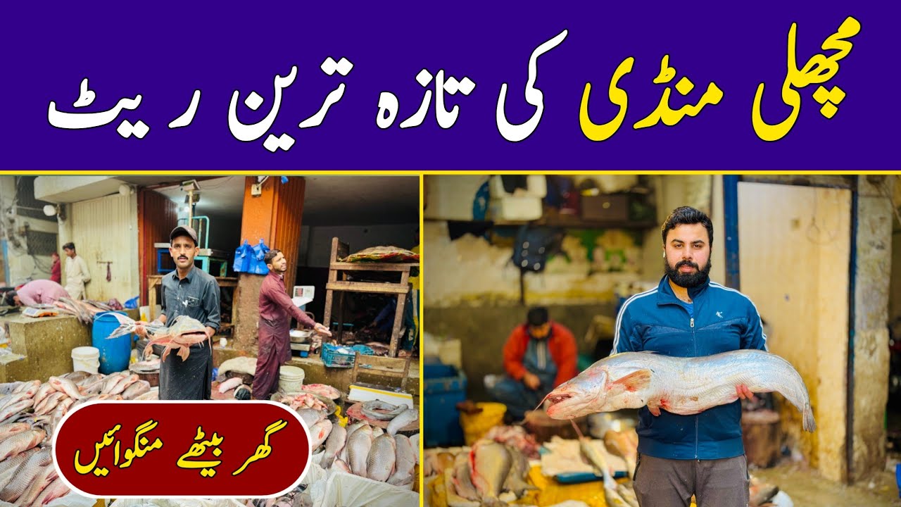 New Fish Market Lahore | Wholesale Fish Market | Machli Mandi Lahore | Fish Rates | Hamid Ch Vlogs
